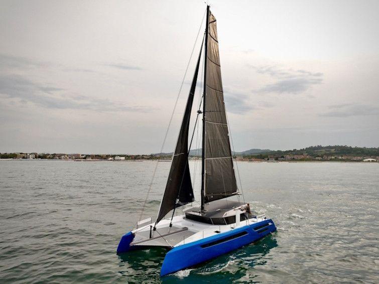 Swiss Cat 55