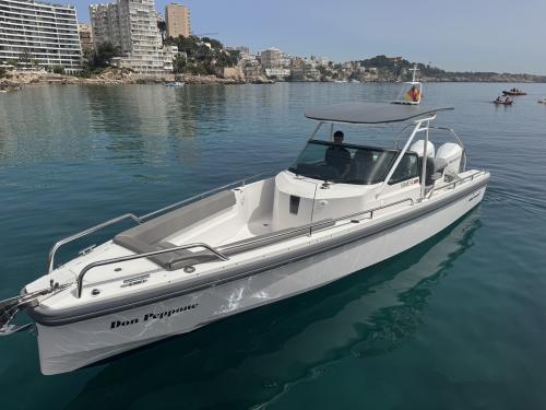 Axopar 28 T-Top