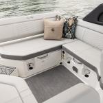 Sea Ray SDX 250 Europe