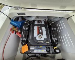 Sea Ray SPX 210 Europe Vorschaubild 14