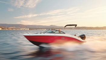 Sea Ray SPX 210 OB Europe