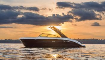 Sea Ray SDX 250 Europe