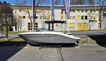 Sea Ray SPX 210 Europe