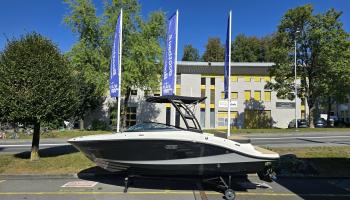 Sea Ray SPX 210 Europe