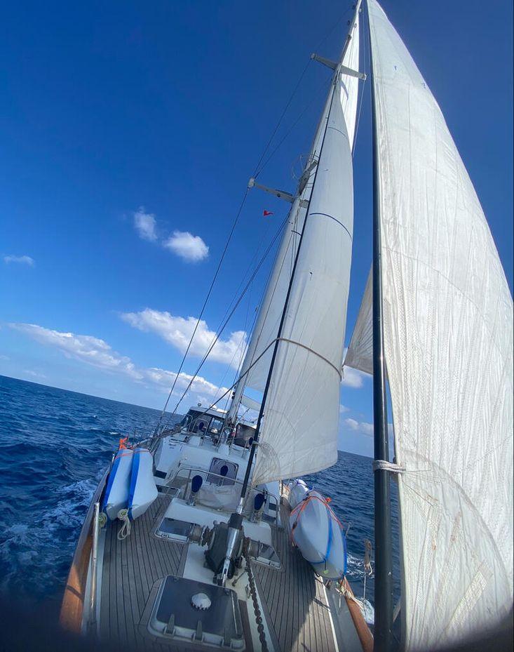 CIM Shipyard Ocean Voyager 82 - Image 37