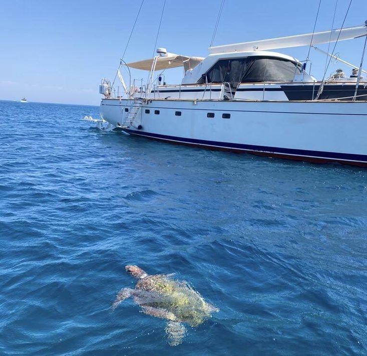 CIM Shipyard Ocean Voyager 82 - Image 38