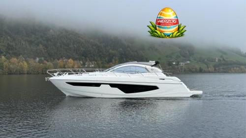 Sessa C 44
