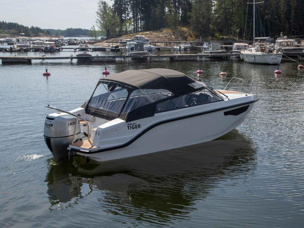 Silver Tiger DCz, Bild 7