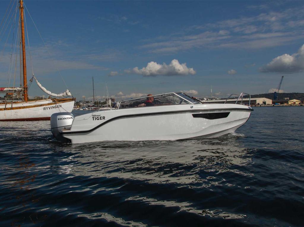 Silver Tiger DCz, Bild 14