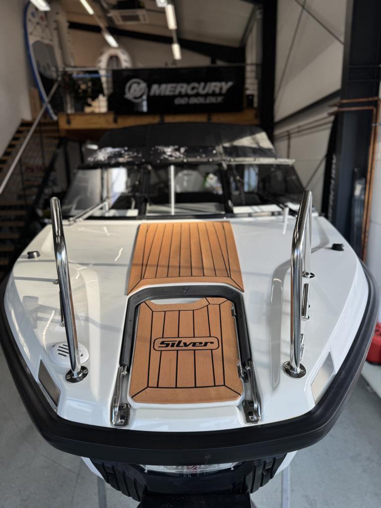 Silver Tiger DCz, Bild 77