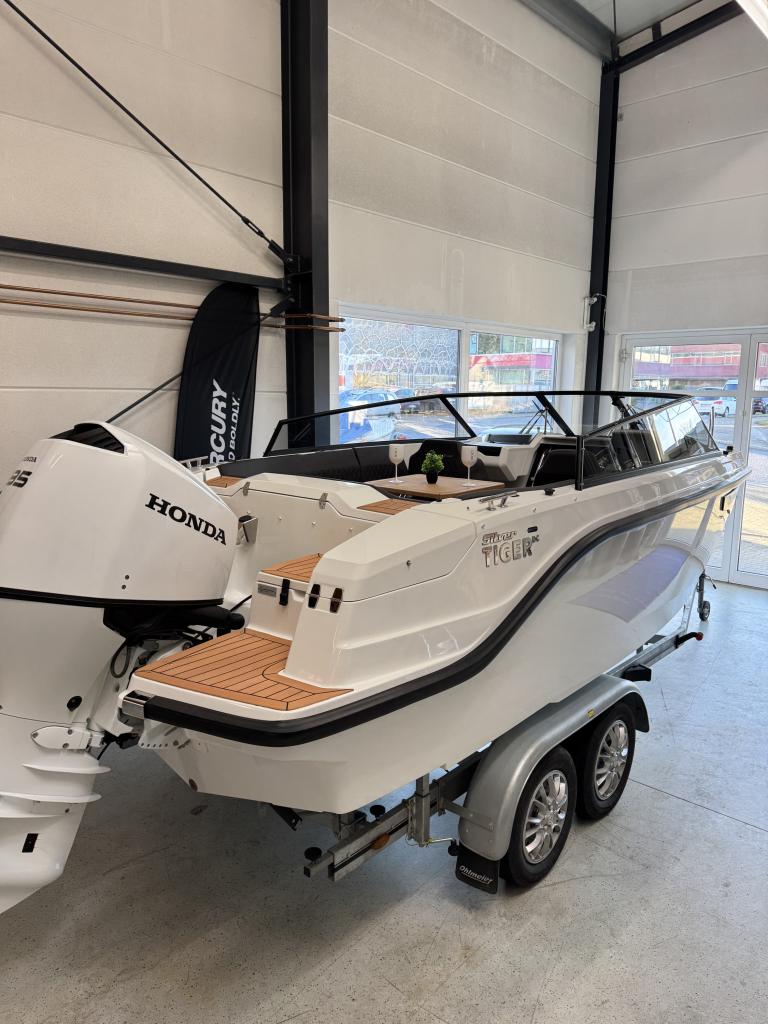 Silver Tiger DCz, Bild 37