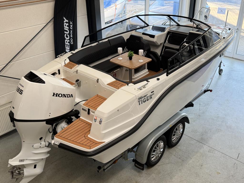 Silver Tiger DCz, Bild 1