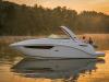 Sea Ray DAE 265