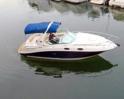 Sea Ray 260 DA Vorschaubild 1