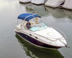 Sea Ray 260 DA Vorschaubild 2
