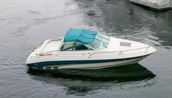 Sea Ray 200 OV